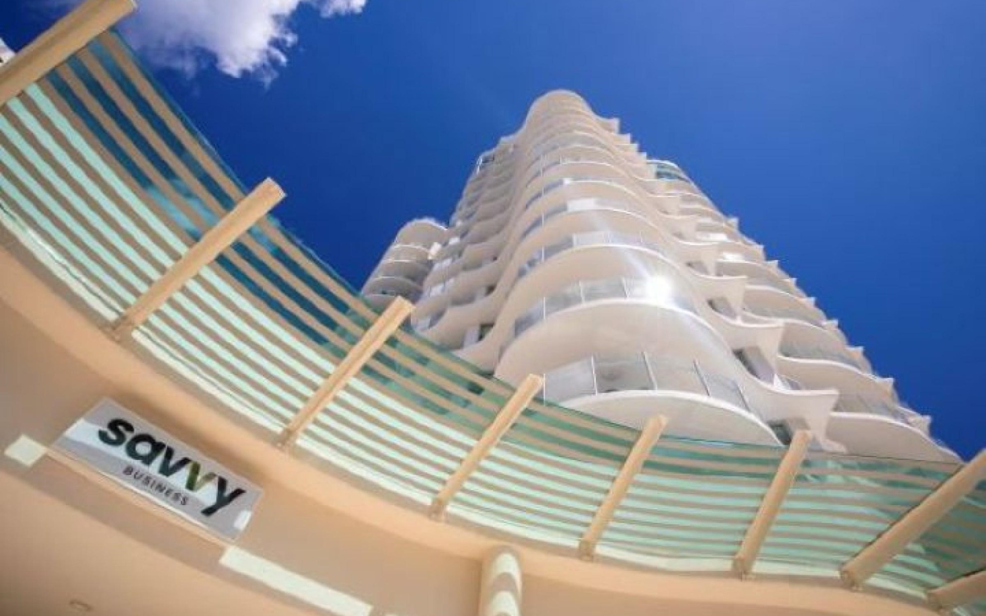 Iconic Business & High-Yield 1314 image 2